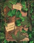 The Valley of Secrets By Charmian Hussey, Christopher Crump (Illustrator) Cover Image