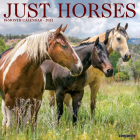 Just Horses 2021 Wall Calendar By Willow Creek Press Cover Image