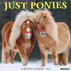 Ponies 2024 12 X 12 Wall Calendar By Willow Creek Press Cover Image