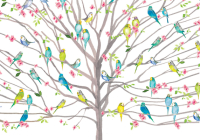 Tree of Budgies Note Cards By Gerry Murray (Illustrator) Cover Image