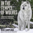 In the Temple of Wolves: A Winter's Immersion in Wild Yellowstone By Eric Michael Summerer (Read by), Rick Lamplugh Cover Image