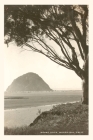 The Vintage Journal Morro Rock By Found Image Press (Producer) Cover Image