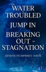 The Water is Troubled, Jump In, Breaking Out of Stagnation By Zenene L. Humphrey-Davis Cover Image