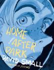 Home After Dark: A Novel By David Small Cover Image