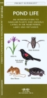 Southern Appalachian Birds: An Introduction to Familliar Species (Pocket Naturalist Guide) By James Kavanagh, Waterford Press, Raymond Leung (Illustrator) Cover Image