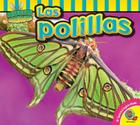 Las Polillas (Insectos Fascinantes) Cover Image