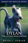 Dylan - The Flying Bedlington: Large Print Edition By Brian L. Porter Cover Image