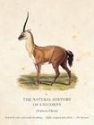 The Natural History of Unicorns By Dr. Chris Lavers Cover Image