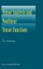 Tensor Analysis and Nonlinear Tensor Functions Cover Image