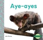 Aye-Ayes (Aye-Ayes) By Julie Murray Cover Image