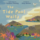 The Tide Pool Waits By Candace Fleming, Amy Hevron (Illustrator) Cover Image