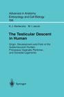 The Testicular Descent in Human: Origin, Development and Fate of the Gubernaculum Hunteri, Processus Vaginalis Peritonei, and Gonadal Ligaments (Advances in Anatomy #156) By K. J. Barteczko, M. I. Jacob Cover Image