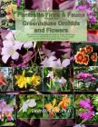 Big Kids Coloring Book: Fantastic Flora and Fauna: Volume Five - Greenhouse Orchids and Flowers By Dawn D. Boyer Cover Image