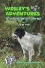 Wesley's Adventures: Who Runs Faster? Stories By Dale M. Walsh Cover Image