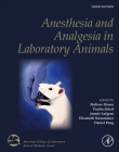 Anesthesia and Analgesia in Laboratory Animals (American College of Laboratory Animal Medicine) By Melissa Dyson (Editor), Paulin Jirkof (Editor), Jennie Lofgren (Editor) Cover Image