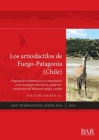 Los artiodáctilos de Fuego-Patagonia (Chile): Explotación alimenticia y su importancia en la tecnología ósea de los cazadores-recolectores del Holocen (BAR International #2993) Cover Image