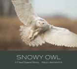 Snowy Owl: A Visual Natural History By Paul Bannick Cover Image