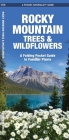 Rocky Mountain Trees & Wildflowers: A Folding Pocket Guide to Familiar Plants (Pocket Naturalist Guide) By James Kavanagh, Waterford Press, Raymond Leung (Illustrator) Cover Image