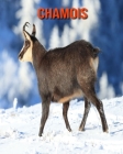Chamois: Beautiful Pictures & Interesting Facts Children Book About Chamois Cover Image