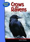 Crows and Ravens (Nature Walk) By James V. Bradley Cover Image