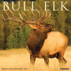 Bull Elk 2022 Wall Calendar Cover Image