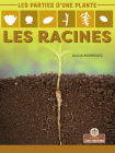 Les Racines By Alicia Rodriguez, Annie Evearts (Translator) Cover Image