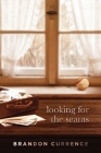 Looking for the Seams Cover Image