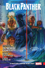 Black Panther Vol. 1 By Ta-Nehisi Coates (Text by), Brian Stelfreeze (Illustrator), Chris Sprouse (Illustrator) Cover Image