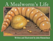 A Mealworm's Life By John Himmelman, John Himmelman (Illustrator) Cover Image