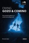 Diving Gozo & Comino: The essential guide to an underwater playground By Richard Salter Cover Image