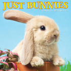 Just Bunnies 2023 Wall Calendar By Willow Creek Press Cover Image
