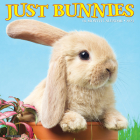 Just Bunnies 2023 Wall Calendar Cover Image