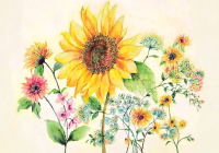 Watercolor Sunflower Note Cards By Lauren Wan (Illustrator) Cover Image