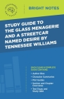 Study Guide to The Glass Menagerie and A Streetcar Named Desire by Tennessee Williams By Intelligent Education (Created by) Cover Image