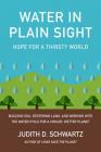 Water in Plain Sight: Hope for a Thirsty World By Judith D. Schwartz Cover Image