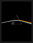 Pink Floyd: Their Mortal Remains By Aubrey "Po" Powell (Foreword by), Mark Blake (Text by), Joe Boyd (Text by), Victoria Broackes (Text by), Anna Landreth Strong (Text by), Howard Goodall (Text by), Jon Savage (Text by), Rob Young (Text by) Cover Image