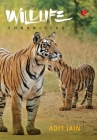 Wildlife Chronicles By Adit Jain Cover Image