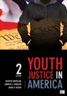 Youth Justice in America By Maryam Ahranjani, Andrew G. Ferguson, Jamin B. Raskin Cover Image