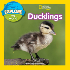 Explore My World: Ducklings By Marfe Delano Cover Image