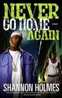Never Go Home Again: A Novel By Shannon Holmes Cover Image