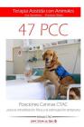 Posiciones Caninas CTAC para la rehabilitación física y la estimulación temprana: Terapia Asistida con Animales By Francesc Ristol, Eva Domenec Cover Image
