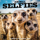Animal Selfies 2025 12 X 12 Wall Calendar By Willow Creek Press Cover Image