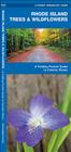 Rhode Island Trees & Wildflowers: A Folding Pocket Guide to Familiar Plants Cover Image