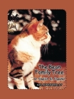 The Bean Family Tree: In English and Spanish By Gail Rosensweig Cover Image