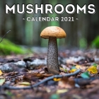 Mushrooms Calendar 2021: 16-Month Calendar, Cute Gift Idea For Mushroom Lovers Women & Men By Tame Potato Press Cover Image