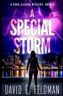 A Special Storm: Crime fiction Novels Cover Image