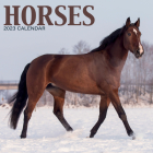 2023 Horses Mini Calendar By Avonside Publishing Ltd (Editor) Cover Image