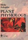 Plant Physiology By Hans Mohr (Editor), G. Lawlor (Translator), D. W. Lawlor (Translator) Cover Image