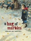 A Bag of Marbles By Joseph Joffo, Vincent Bailly (Illustrator) Cover Image