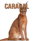 Caracal By Lara Mark Cover Image